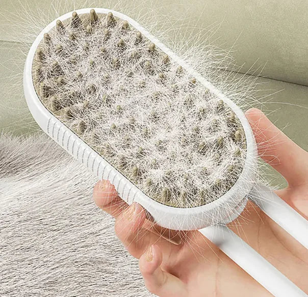 Steam Pet Brush